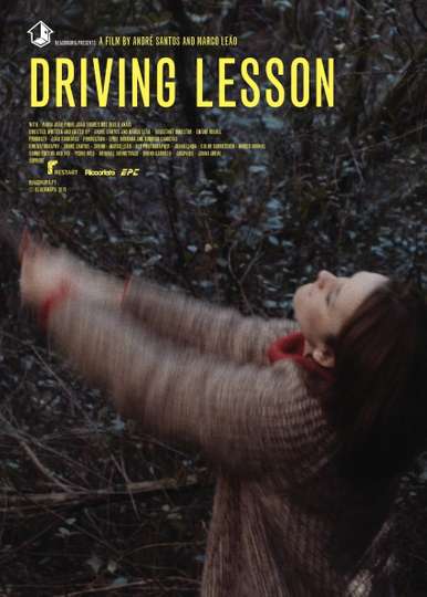 Driving Lesson Poster