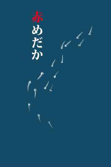Aka Medaka Poster