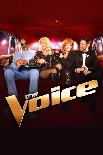 The Voice Poster