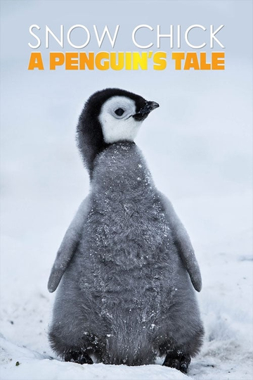 Snow Chick - A Penguin's Tale