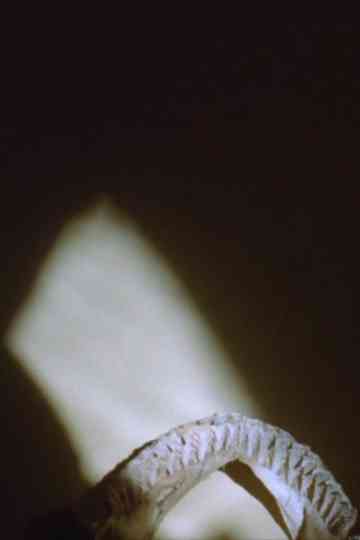 A Certain Worry Poster