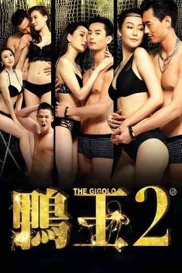 The Gigolo 2