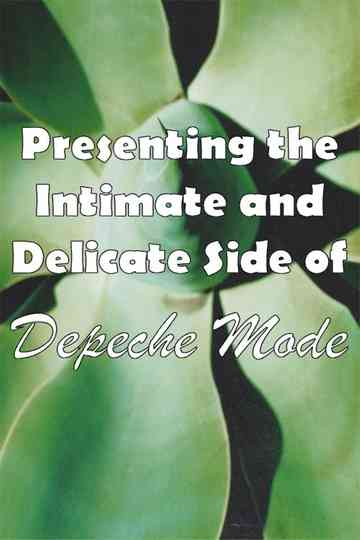 Depeche Mode 19992002 Presenting the Intimate and Delicate side of Depeche Mode