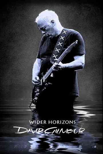 David Gilmour: Wider Horizons poster