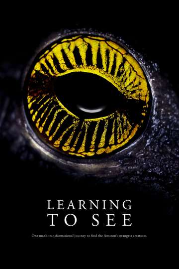 Learning To See Poster