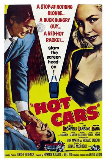 Hot Cars Poster