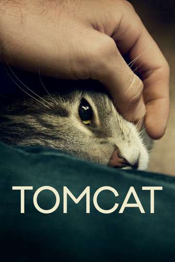 Tomcat Poster