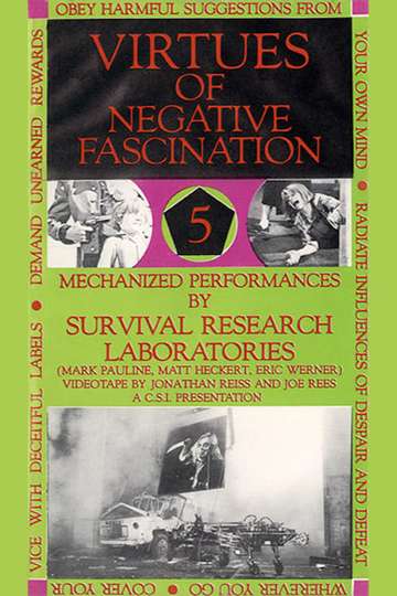 Virtues Of Negative Fascination Poster