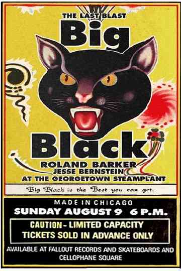 Big Black  The Last Blast