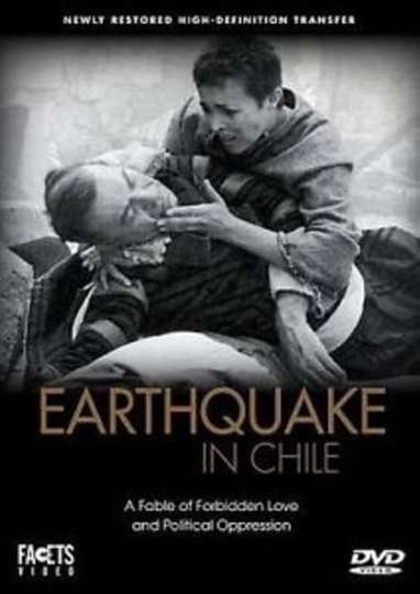 Earthquake in Chile Poster