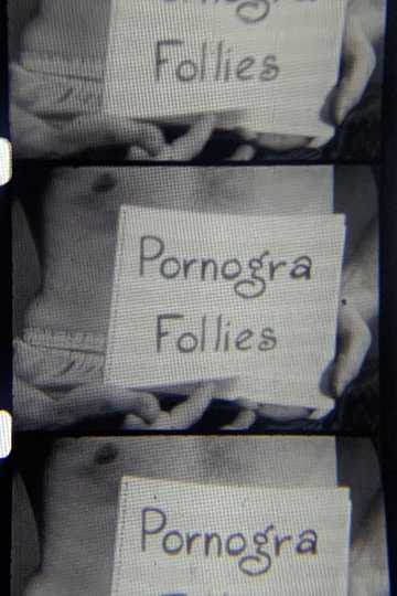 Pornogra Follies