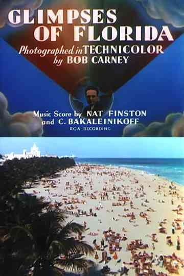 Glimpses of Florida Poster