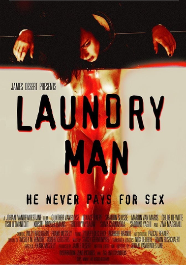 Laundry Man Poster