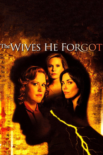 The Wives He Forgot Poster