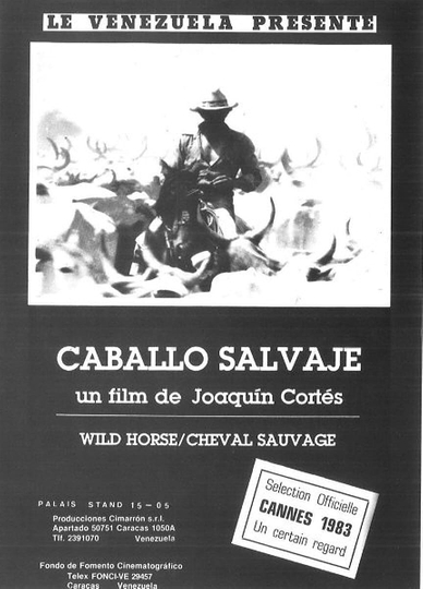 Caballo salvaje