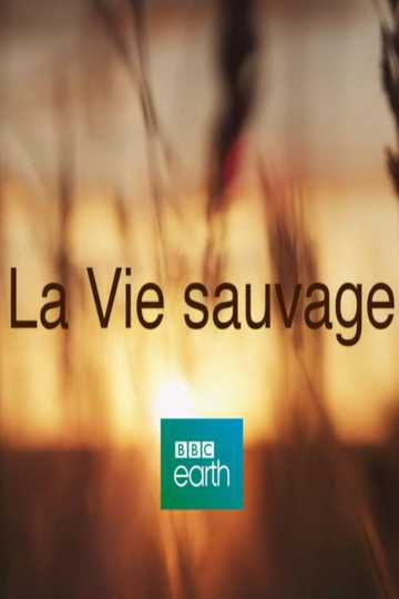 La Vie Sauvage