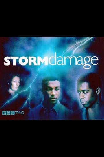 Storm Damage Poster