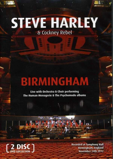 Steve Harley  Cockney Rebel Birmingham  Live With Orchestra  Choir