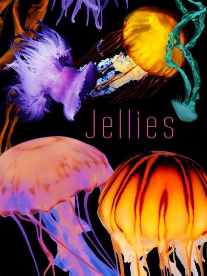 The Art of Nature Jellies