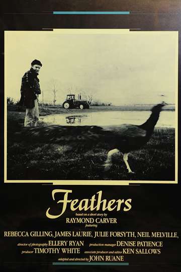 Feathers Poster