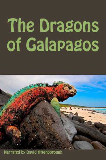 The Dragons of Galapagos