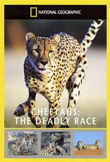 Cheetahs The Deadly Race Poster