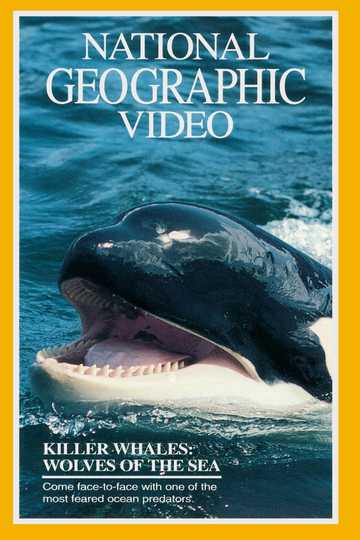 Killer Whales: Wolves of the Sea Poster