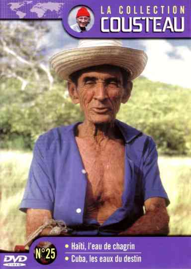 The Cousteau Collection N°17-2 | Amazon: The Enchanted River poster