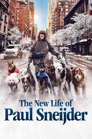 The New Life of Paul Sneijder poster