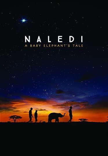 Naledi A Baby Elephants Tale
