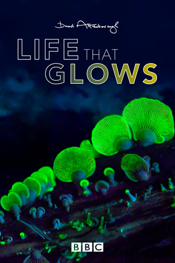 Attenborough's Life That Glows Poster