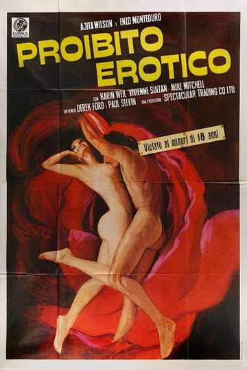 Forbidden Erotica Poster