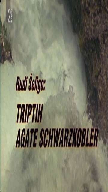 Triptych of Agata Schwarzkobler Poster