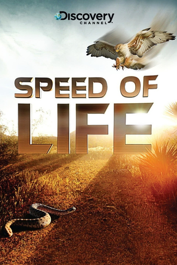 Speed of Life