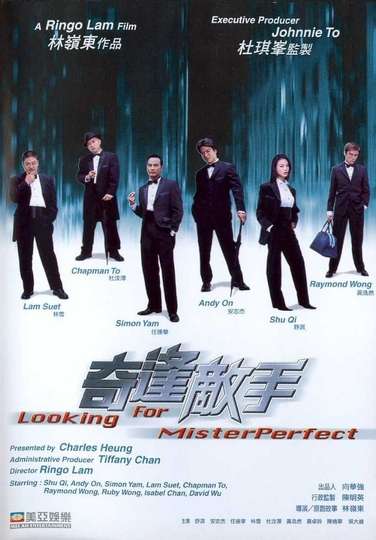 Looking for Mr Perfect Poster