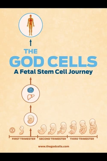 The God Cells