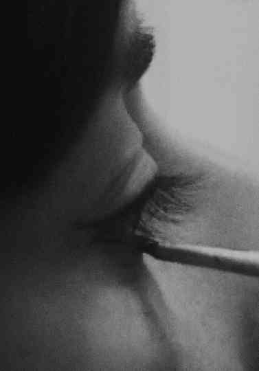 Morning