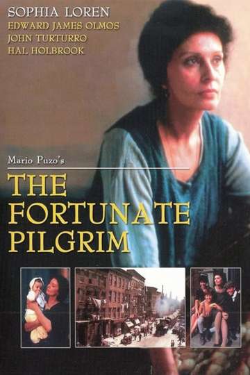 The Fortunate Pilgrim Poster