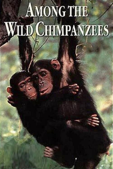 Among the Wild Chimpanzees