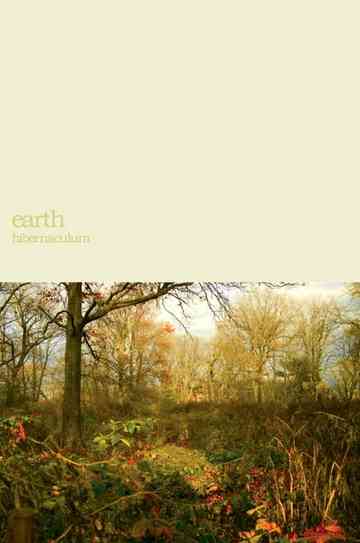 Earth Within the Drone
