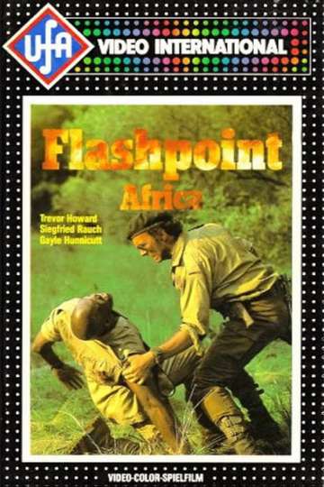 Flashpoint Africa Poster