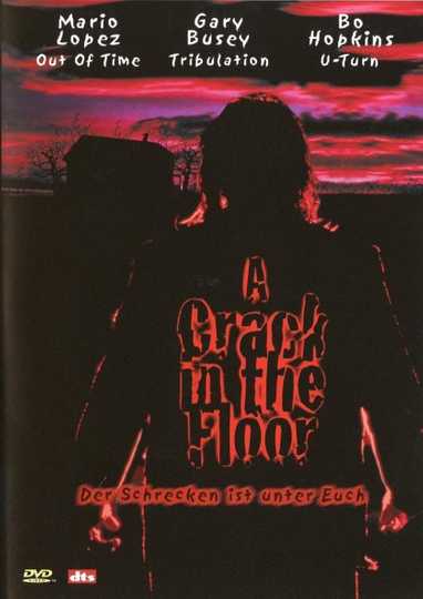 A Crack in the Floor Poster