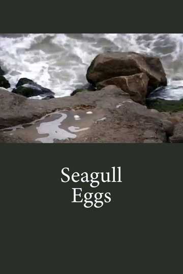 Seagull Eggs