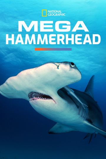 Mega Hammerhead