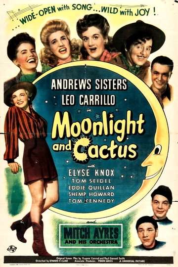 Moonlight and Cactus Poster