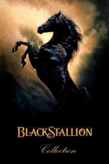 The Black Stallion Collection Poster
