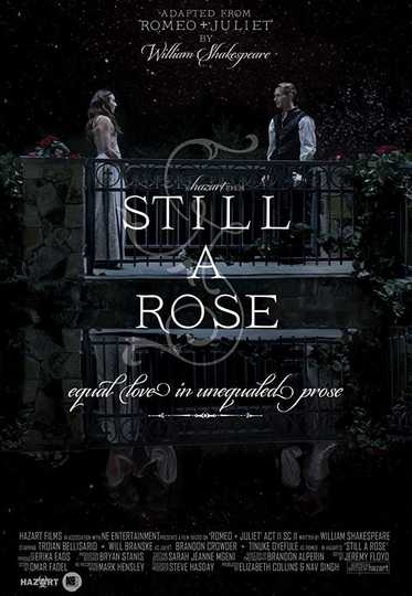 Still a Rose Poster