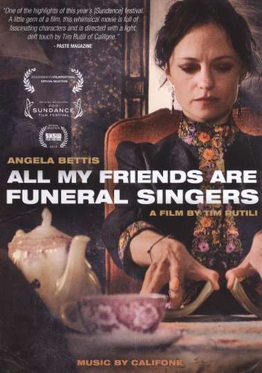 All My Friends Are Funeral Singers Poster