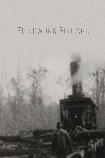 Fieldwork Footage Poster