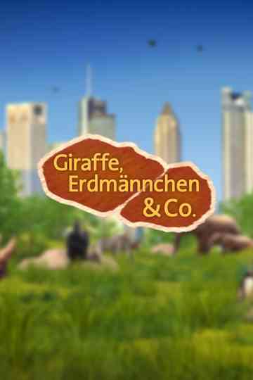 Giraffe, Erdmännchen & Co.